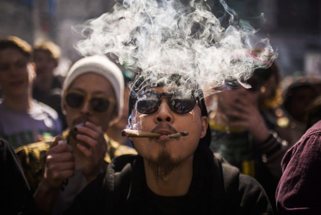 cannabis pro