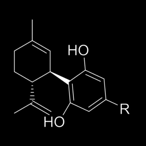 CBDV