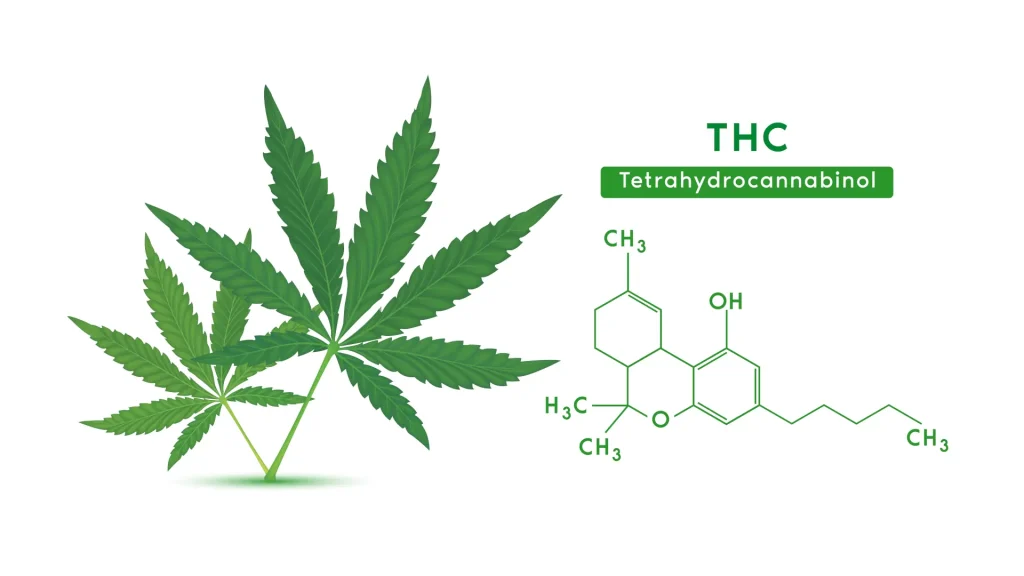 tetrahydrocannabinol-thc-la-hacienda